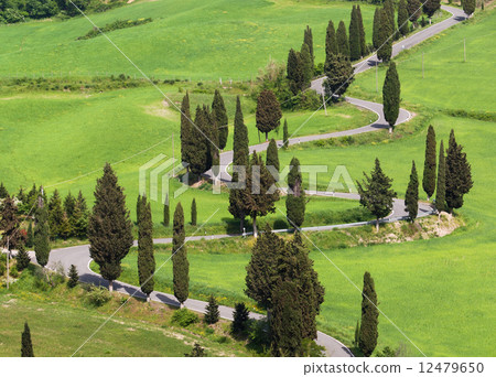 Typical Italian countryroad in Tuscany Typical Italian countryroad in Tuscany 12479650