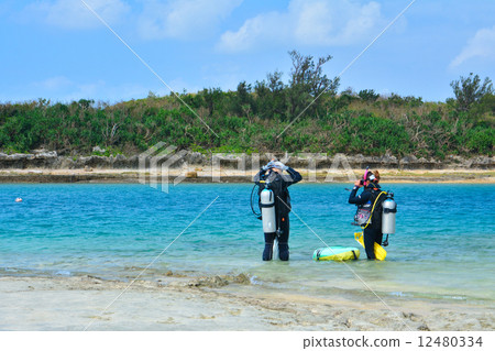 Diving course 12480334