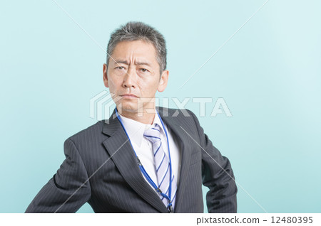 Businessman         Businessman         12480395