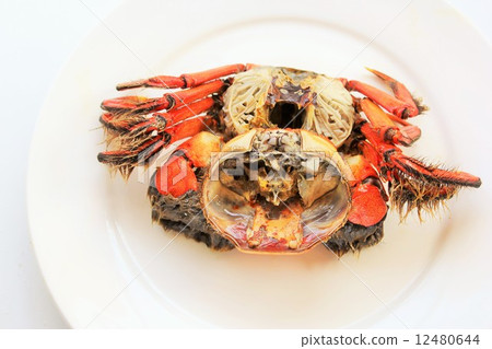 Boyle of Mozzi crab Boyle of Mozzi crab 12480644