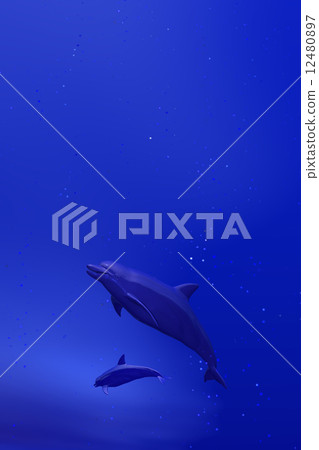 Dolphin Art 12480897
