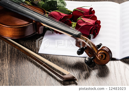 Violin, rose and music books 12481023