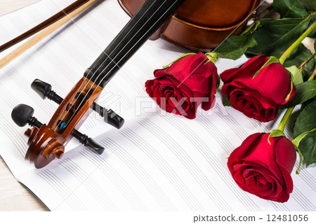 Violin, rose and music books Violin, rose and music books 12481056