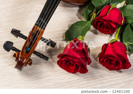 Violin, rose and music books Violin, rose and music books 12481100