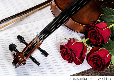Violin, rose and music books Violin, rose and music books 12481125