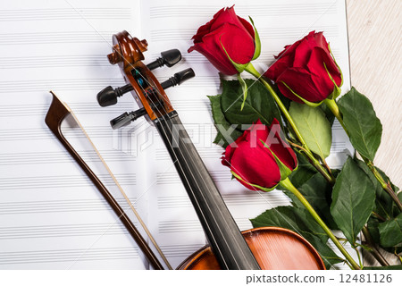 Violin, rose and music books 12481126