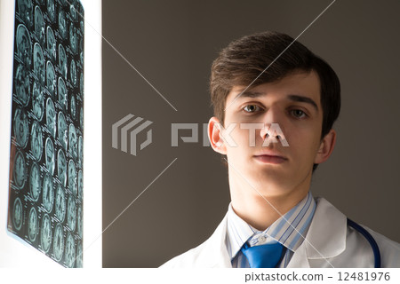 male doctor looking at the x-ray image 12481976