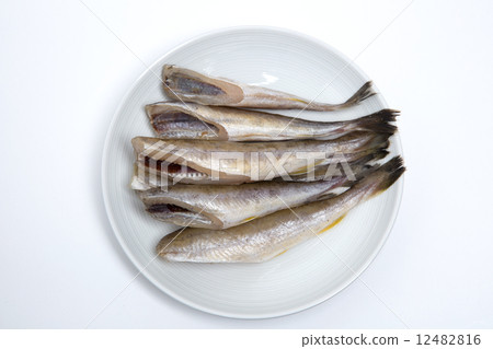 圓幹的comai 圓幹的comai 12482816