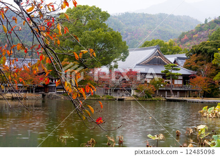 Autumn leaves of Daikaku-ji 12485098