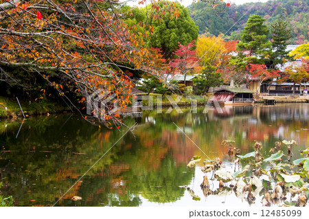 Autumn leaves of Daikaku-ji 12485099