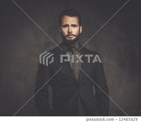 Handsome well-dressed man in jacket 12485829