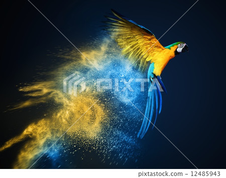 Flying Ara parrot over colourful powder explosion 12485943