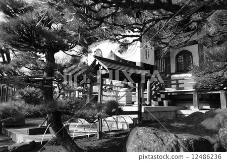 I wish quietly I wish quietly 12486236