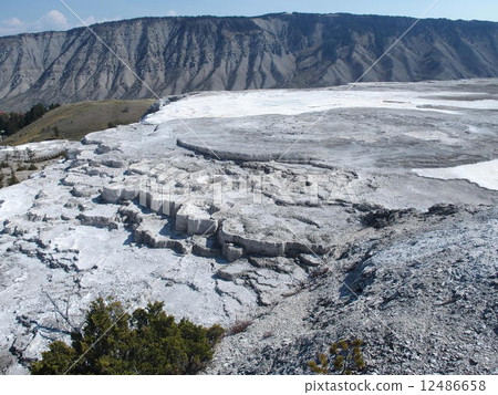 American West 12486658