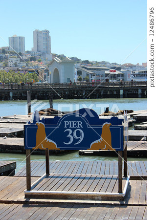 舊金山_ 39號碼頭 12486796