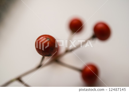 red nut 12487145