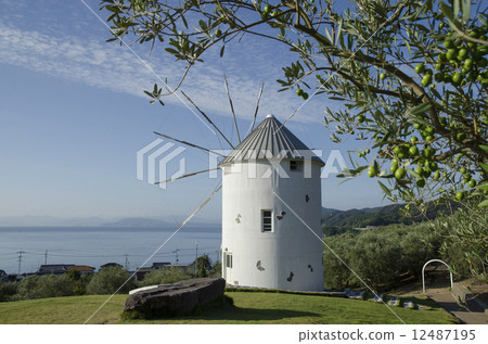橄欖公園風車 12487195