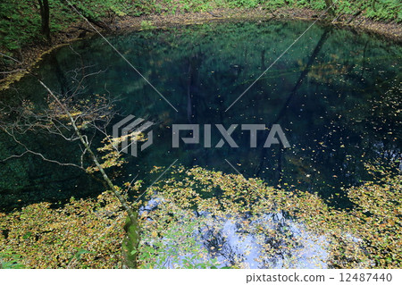 Aoike's lake surface Aoike's lake surface 12487440