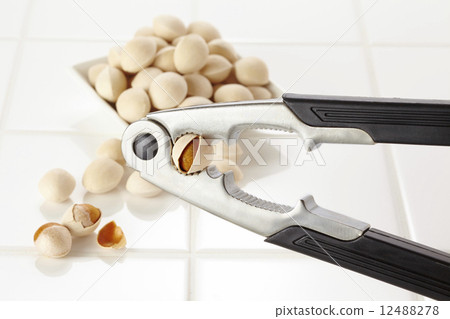 銀杏 銀杏 12488278