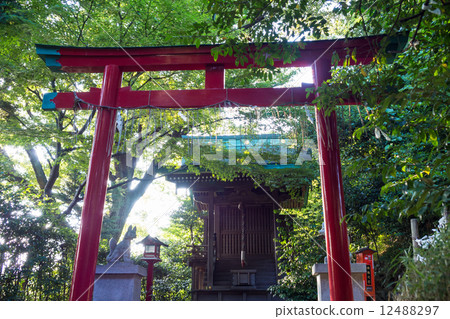 Shiratama Inari shrine 12488297