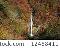 秋葉的秋天的秋天 12488411