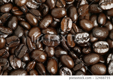 Coffee beans Coffee beans 12488735