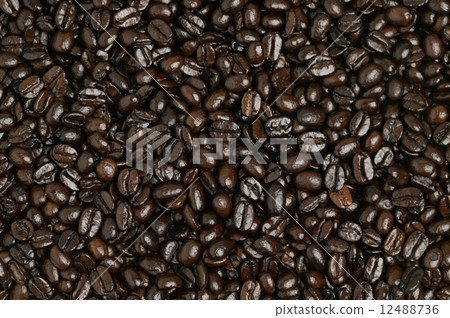 Coffee beans Coffee beans 12488736