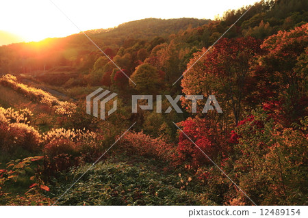Autumn scene Autumn scene 12489154