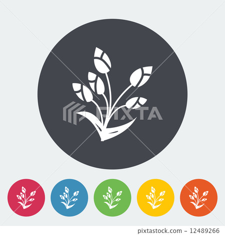 Tulip single flat icon. 12489266