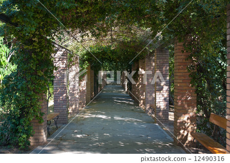 Shady Alley. Shady Alley. 12490316