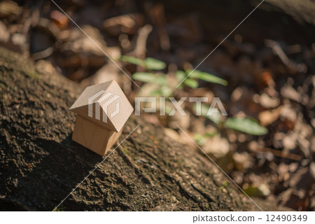 積木屋 積木屋 12490349