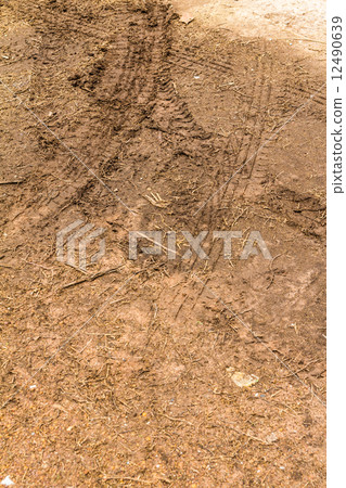 The trace of a tyre in the soil 12490639