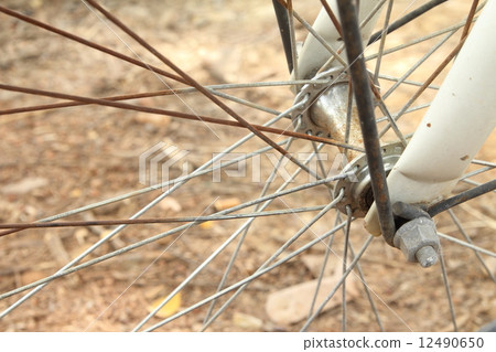 Bike wheel Bike wheel 12490650