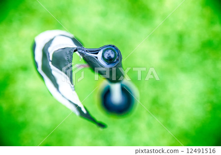 checkered golf flag pole bokeh checkered golf flag pole bokeh 12491516