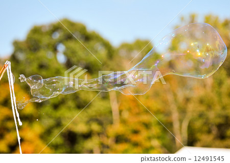 blowing bubble balloons on a field 12491545