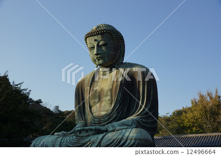 鎌倉大佛 鎌倉大佛 12496664
