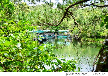 比奧斯山 12497164