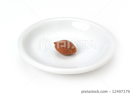 Umeboshi's seed Umeboshi's seed 12497179