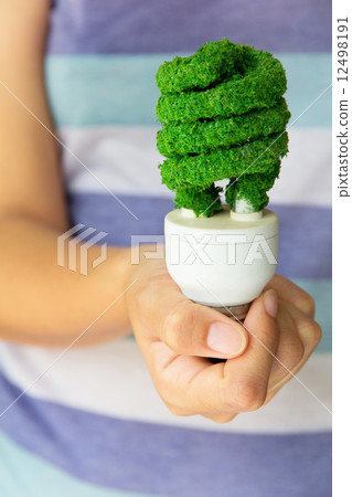 hand holding eco light bulb hand holding eco light bulb 12498191