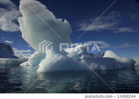 Iceberg Iceberg 12498244