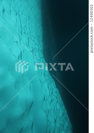 Iceberg Iceberg 12498303