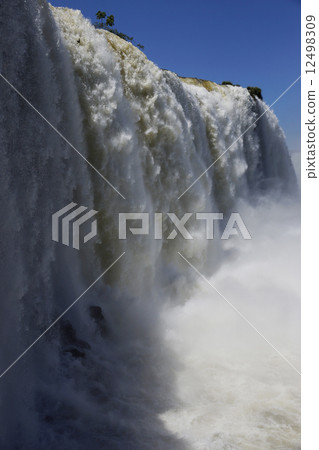 伊瓜蘇瀑布 12498309