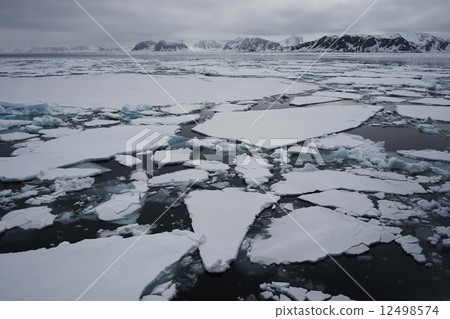 Arctic landscape Arctic landscape 12498574