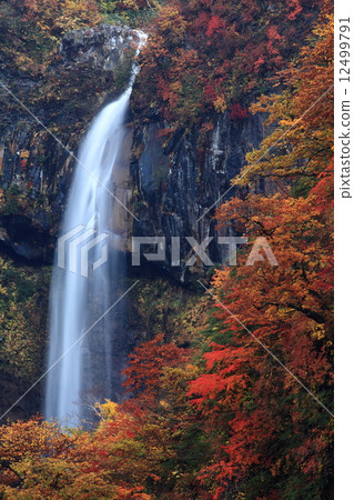 秋葉的Sorui 12499791