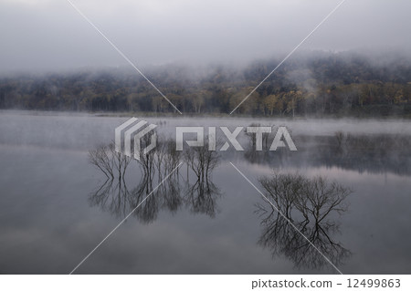 Autumn in autumnal leaves of owl lake of Tobetsu-cho, Hokkaido 12499863