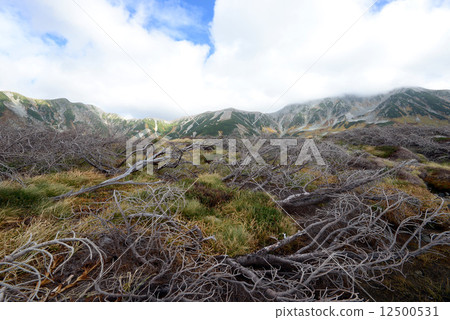 Tateyama - Murodo Tateyama - Murodo 12500531