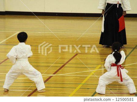 Karate-style game boy girl 12500581