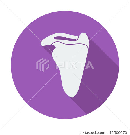 Scapula 12500670