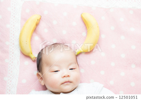 2 months old baby banana 12501051