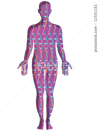 Double spiral structure pattern in human body silhouette 12501181